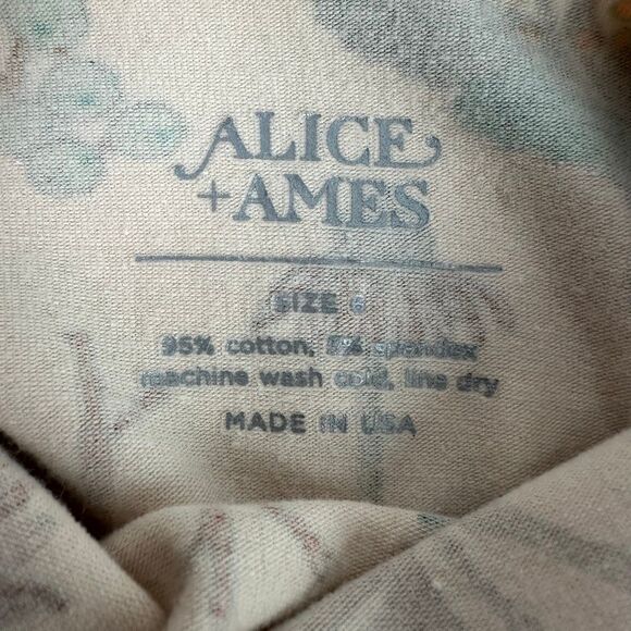 Alice & Ames Short Sleeve Ballet Dress size 6 Herbal Study - Picture 6 of 6